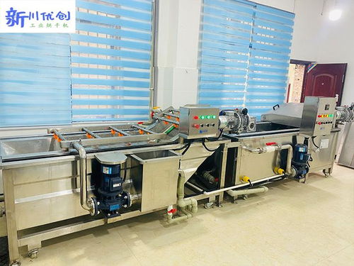 四川特色農產品 蔬菜加工設備流水線