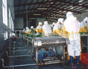 蔬菜加工設備生產線 供應信息 食品科技網
